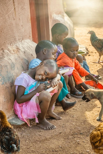 Rescued animals being cared for